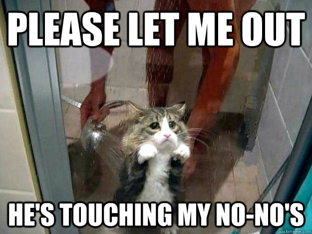 Please let me out he's touching my no-no's  Shower kitty