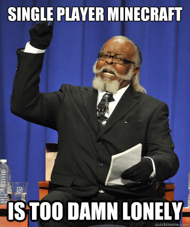 single player minecraft is too damn lonely  The Rent Is Too Damn High