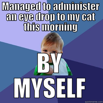 MANAGED TO ADMINISTER AN EYE DROP TO MY CAT THIS MORNING BY MYSELF Success Kid