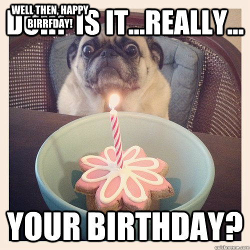 Doh!  Is it...really... your birthday? Well then, Happy Birrfday!  Birthday Pug