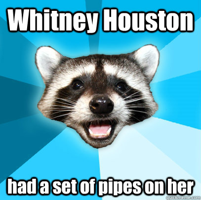 Whitney Houston had a set of pipes on her  Lame Pun Coon