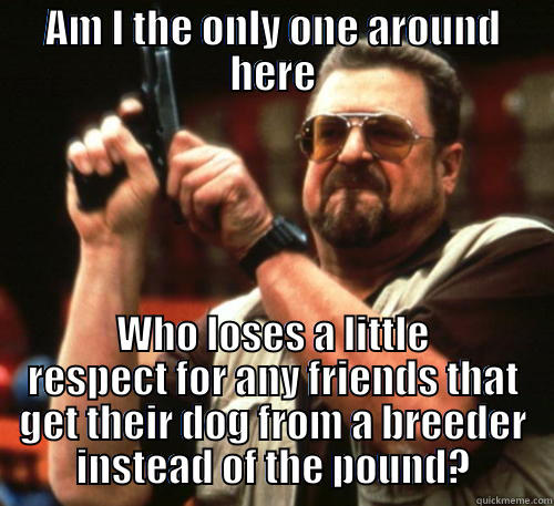 AM I THE ONLY ONE AROUND HERE WHO LOSES A LITTLE RESPECT FOR ANY FRIENDS THAT GET THEIR DOG FROM A BREEDER INSTEAD OF THE POUND? Am I The Only One Around Here