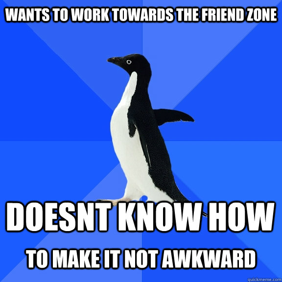 wants to work towards the friend zone doesnt know how  To make it not awkward  Socially Awkward Penguin