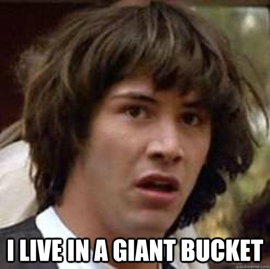  I live in a giant bucket -  I live in a giant bucket  conspiracy keanu