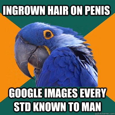 Ingrown hair on penis Google images every STD known to man  Paranoid Parrot