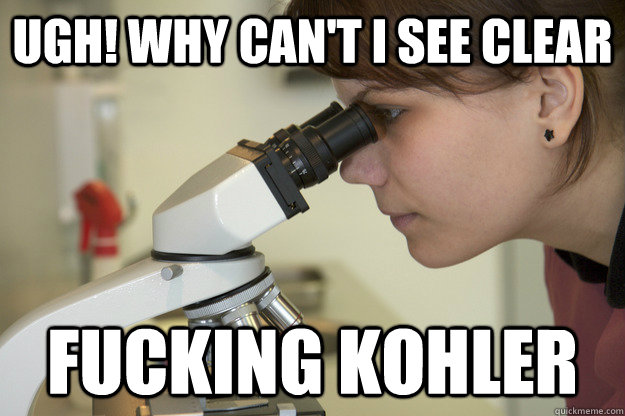Ugh! Why can't I see clear Fucking Kohler - Ugh! Why can't I see clear Fucking Kohler  Biology Major Student
