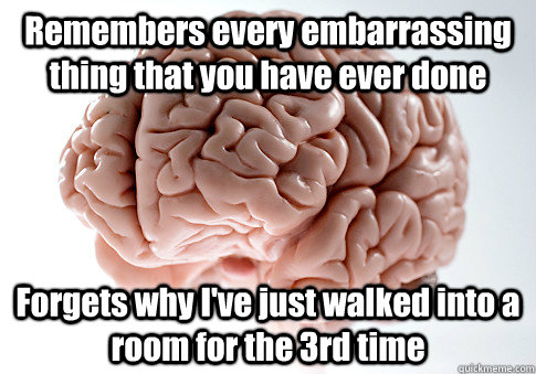 Remembers every embarrassing thing that you have ever done Forgets why I've just walked into a room for the 3rd time  Scumbag Brain