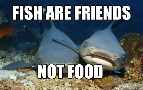 Fish are friends not food  Compassionate Shark Friend