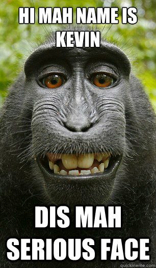 Hi mah name is kevin dis mah serious face - Hi mah name is kevin dis mah serious face  Mindful Macaque