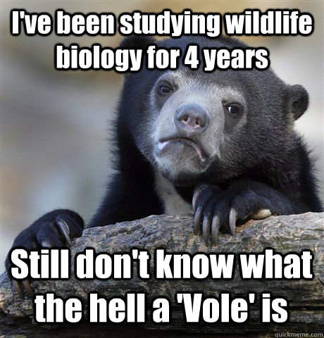 I've been studying wildlife biology for 4 years Still don't know what the hell a 'Vole' is  Confession Bear