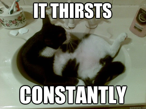 It thirsts Constantly - It thirsts Constantly  Faucet cat