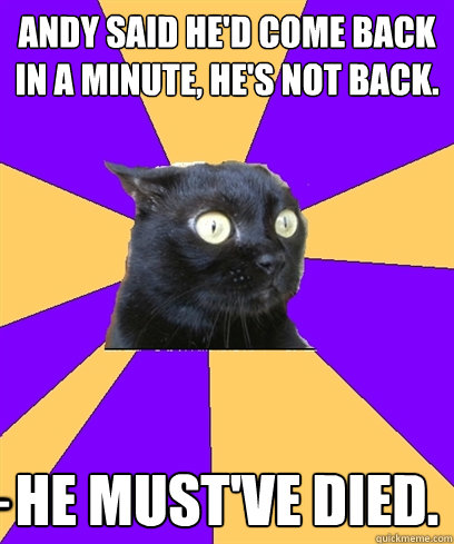 ANDY SAID HE'D COME BACK IN A MINUTE, HE'S NOT BACK. HE MUST'VE DIED. ____  Anxiety Cat