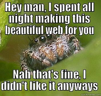 HEY MAN, I SPENT ALL NIGHT MAKING THIS BEAUTIFUL WEB FOR YOU NAH THAT'S FINE, I DIDN'T LIKE IT ANYWAYS Misunderstood Spider