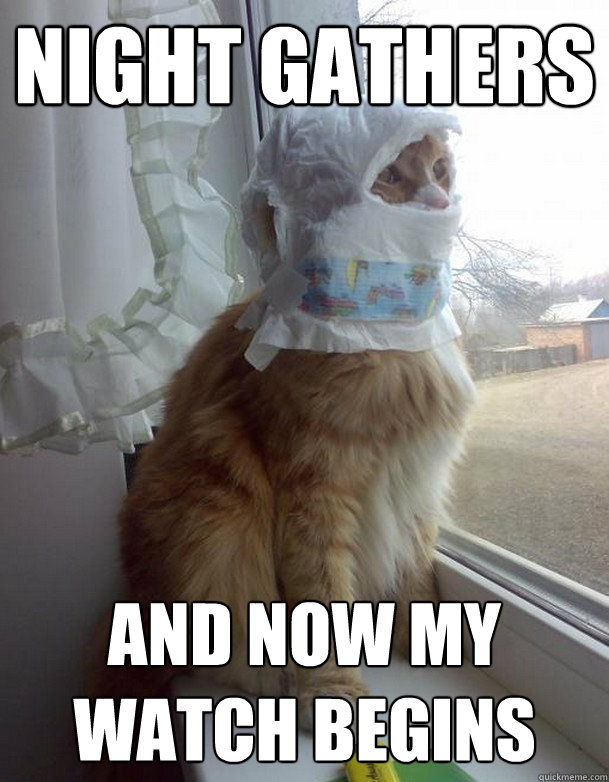 Night gathers And now my watch begins - Night gathers And now my watch begins  Guard Cat