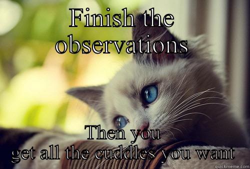 FINISH THE OBSERVATIONS THEN YOU GET ALL THE CUDDLES YOU WANT First World Problems Cat