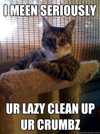 I meen seriously ur lazy clean up ur crumbz  The Most Interesting Cat in the World