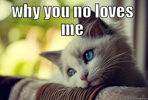 WHY YOU NO LOVES ME  First World Problems Cat
