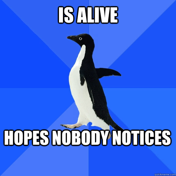Is alive Hopes nobody notices    Socially Awkward Penguin