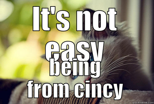 IT'S NOT EASY BEING FROM CINCY First World Problems Cat