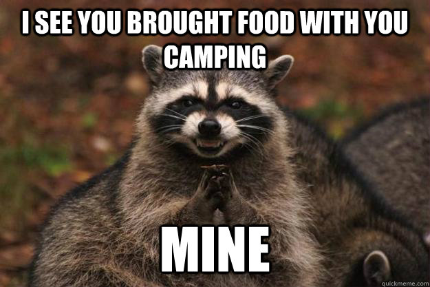 i see you brought food with you camping mine  Evil Plotting Raccoon