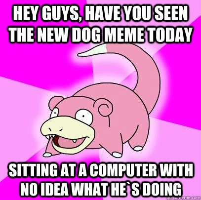 hey guys, have you seen the new dog meme today sitting at a computer with no idea what he`s doing  Slowpoke