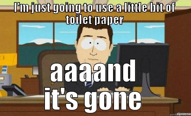 I'M JUST GOING TO USE A LITTLE BIT OF TOILET PAPER AAAAND IT'S GONE aaaand its gone