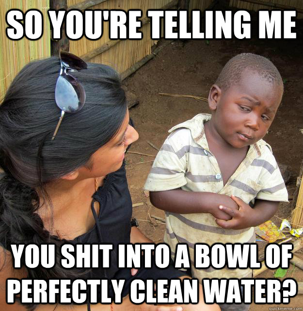 So you're telling me You shit into a bowl of perfectly clean water? - So you're telling me You shit into a bowl of perfectly clean water?  Skeptical Third World Child