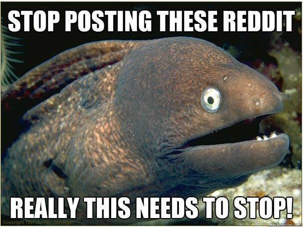    Bad Joke Eel