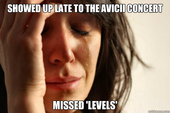 Showed Up Late to the Avicii Concert Missed 'Levels'  First World Problems