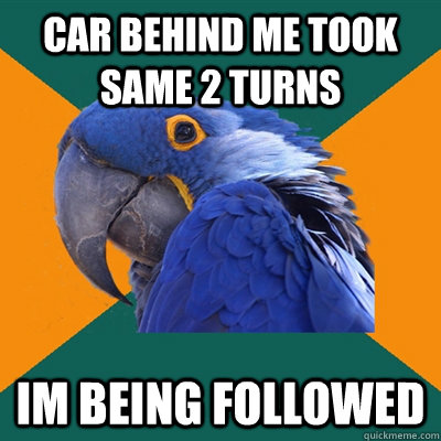 Car behind me took same 2 turns  Im being followed  Paranoid Parrot
