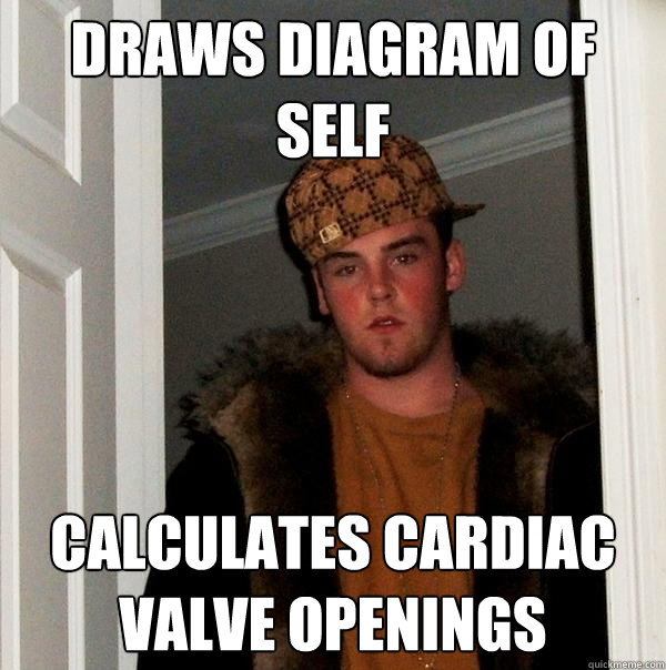 Draws Diagram of Self Calculates cardiac valve openings  Scumbag Steve