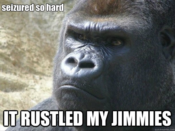 seizured so hard IT RUSTLED MY JIMMIES - seizured so hard IT RUSTLED MY JIMMIES  Jimmies gorilla