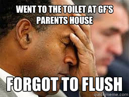 went to the toilet at Gf's parents house forgot to flush  