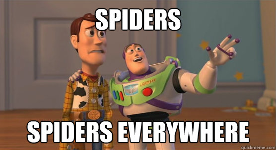 spiders spiders everywhere  Toy Story Everywhere