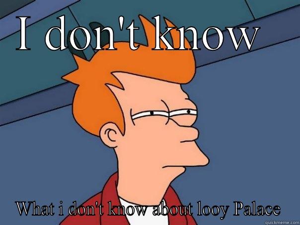 I DON'T KNOW  WHAT I DON'T KNOW ABOUT LOOY PALACE Futurama Fry