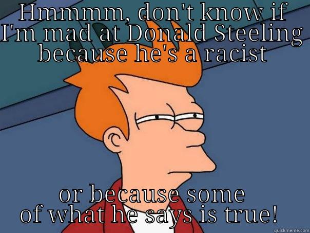 Futurama Ruminations - HMMMM, DON'T KNOW IF I'M MAD AT DONALD STEELING BECAUSE HE'S A RACIST OR BECAUSE SOME OF WHAT HE SAYS IS TRUE!  Futurama Fry