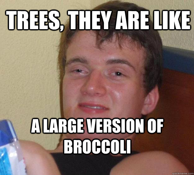 Trees, they are like A large version of broccoli  10 Guy