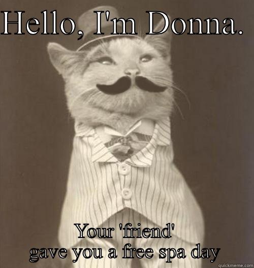 HELLO, I'M DONNA.  YOUR 'FRIEND' GAVE YOU A FREE SPA DAY Original Business Cat