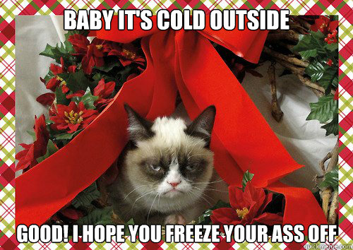 baby it's cold outside good! I hope you freeze your ass off  - baby it's cold outside good! I hope you freeze your ass off   A Grumpy Cat Christmas