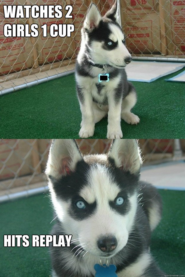 watches 2 girls 1 cup hits replay  Insanity puppy