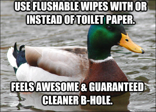 Use flushable wipes with or instead of toilet paper. feels awesome & guaranteed cleaner b-hole.  Actual Advice Mallard