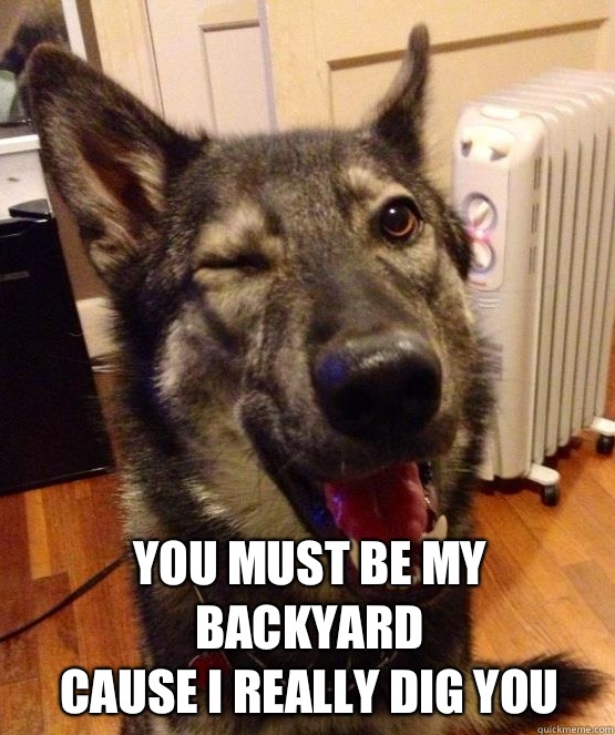  You must be my backyard
Cause I really dig you   Pickup Pup