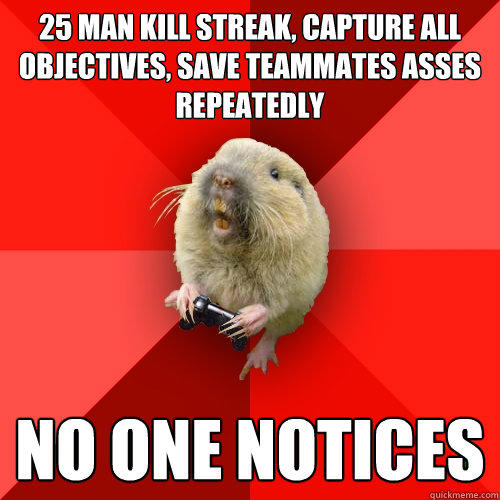 25 man kill streak, capture all objectives, save teammates asses repeatedly no one notices  Gaming Gopher