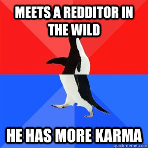 meets a redditor in the wild  he has more karma   Socialy Awesomeawkward penguin