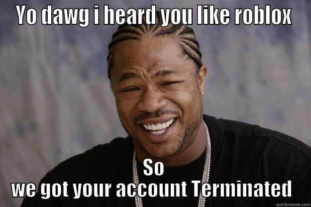 YO DAWG I HEARD YOU LIKE ROBLOX SO WE GOT YOUR ACCOUNT TERMINATED  Xzibit meme