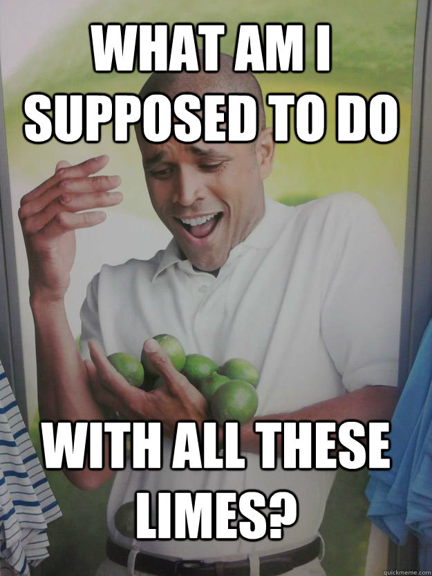 What am i supposed to do  With all these limes?  Why Cant I Hold All These Limes Guy
