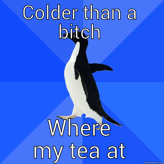 COLDER THAN A BITCH WHERE MY TEA AT Socially Awkward Penguin