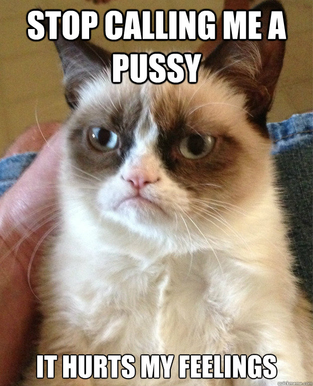 stop calling me a pussy it hurts my feelings Caption 3 goes here - stop calling me a pussy it hurts my feelings Caption 3 goes here  Misc