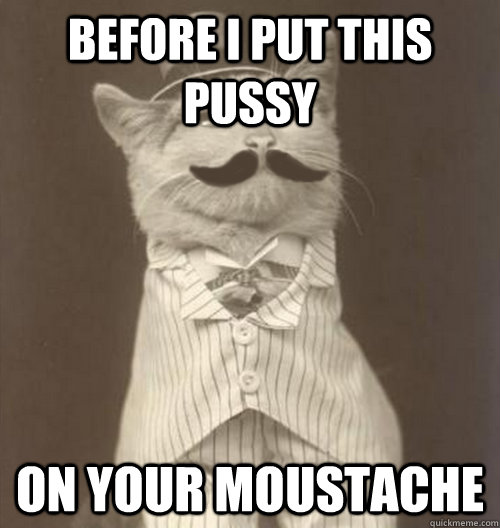 Before I put this pussy on your moustache  Original Business Cat
