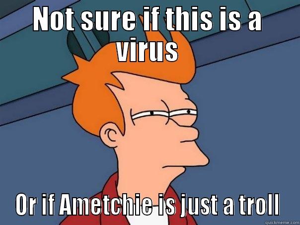 NOT SURE IF THIS IS A VIRUS OR IF AMETCHIE IS JUST A TROLL Futurama Fry